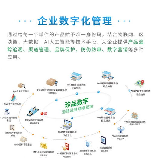 賦能管理，驅(qū)動(dòng)未來(lái) 珍品數(shù)字發(fā)布全新企業(yè)數(shù)字化解決方案與數(shù)據(jù)處理服務(wù)